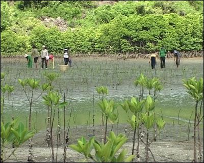 สัมมนา“การรับมือกับความเปลี่ยนแปลงของภูมิอากาศและการอนุรักษ์ความหลากหลายทางชีวภาพ”